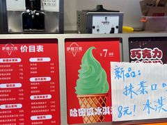 -萨朗刀克冰淇淋雪花凉(植物园店)