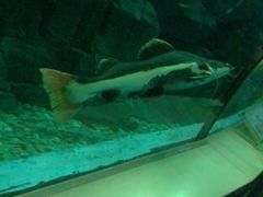 -苏州海洋馆