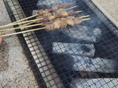 -吴淞炮台湾湿地森林公园烧烤区