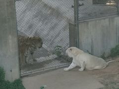 -石家庄市动物园