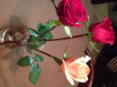 iphone_upload_pic-Mammamia意大利餐厅(阳春巷店)