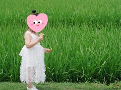 -迪茵湖田家舍生态农场