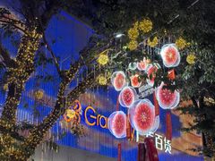 -越秀西湖花市(广州城市广场花卉店)