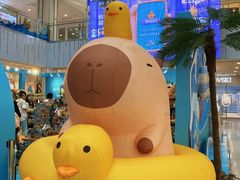 -凯德MALL(西直门店)