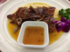 -金龙渔港(双楠店)
