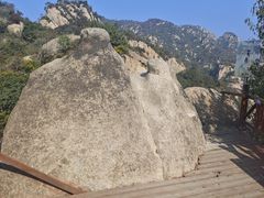 -大岭沟猕猴桃谷风景区