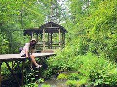 -五营红松林海景区