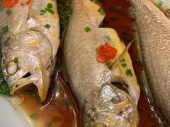 -梦都海鲜酒家(万达广场江桥店)