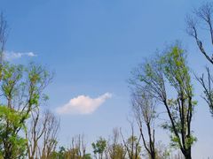 -白鹭湾湿地公园