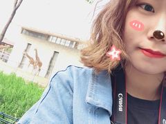 -石家庄市动物园