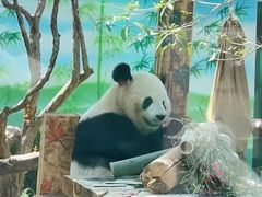 -无锡动物园·太湖欢乐园