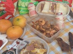 -深圳湾公园(南山区)