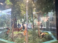 -国家自然博物馆