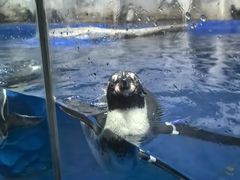 -太平洋海底世界