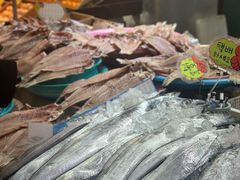 -西归浦每天偶来市场