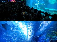 -海合安成都极地海洋公园