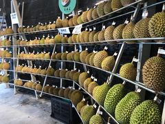 -都念榴莲·城市榴莲