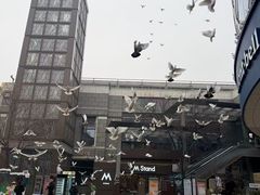 -中粮·祥云小镇