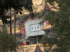 -东莞市大岭山森林公园