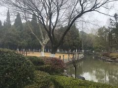 -瀛洲公园