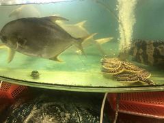 -大洋海鲜居·海鲜特色菜(墟沟海鲜美食城店)