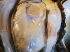 -木屋烧烤(白石洲店)