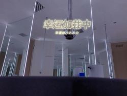-紫御国际抗衰ZOE ANTI AGING