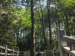 -中国大熊猫保护研究中心雅安碧峰峡基地