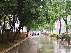 -东北大院·东北菜(三台子店)