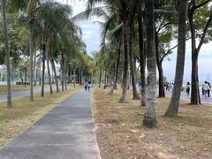 -深圳湾公园(南山区)