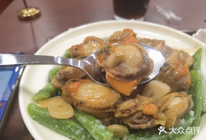 树夏Tree Summer图片