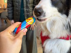 -山下C5cafe(惠通时代广场店)