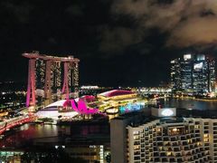 -新加坡泛太平洋酒店