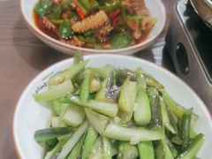 -龙小海荆沙鸽子店(瑞安街店)