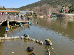 -无锡动物园·太湖欢乐园