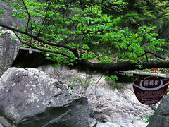 -洛阳白云山景区