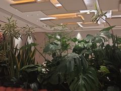 -北京厨房(SKP店)