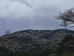 -梧桐山风景名胜区