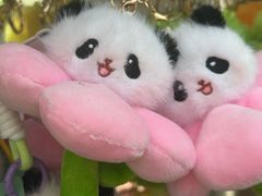 -昊·来了寿司(泡桐树店)