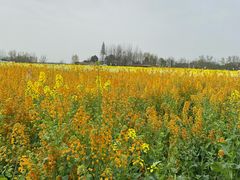 -中国天府农业博览园