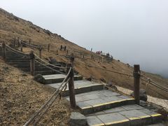 -长白山吉祥物天池水怪专卖