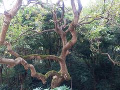 -云溪植物园