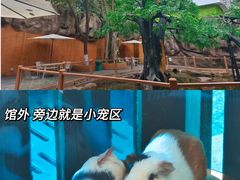 -南宁市动物园