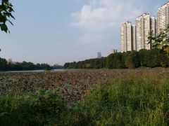 -人民公园(罗湖区)