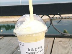 -莫内艺术岛海景咖啡