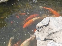 -天竺岩寺