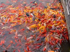 -泰安地下龙宫景区