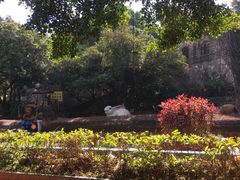 -求水山公园
