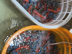 -沙田台山海鲜·酣客酒窖