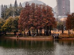 -四海公园(南山区)